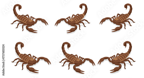 Collection of 3d isometric scorpion poses on white background for design projects