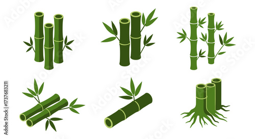 Isometric bamboo set: green stalks and leaves on white background