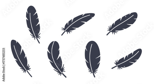 Collection of black silhouette feathers isolated on white background