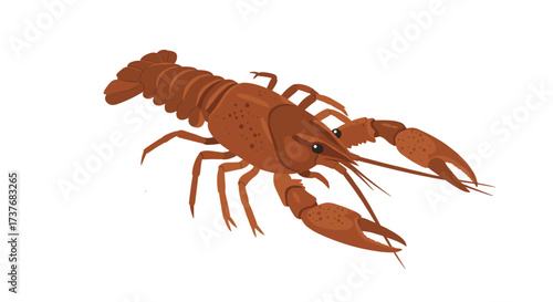 Realistic crawfish design with detailed features in 3d style on white background