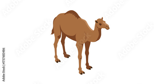 Realistic camel design on white background