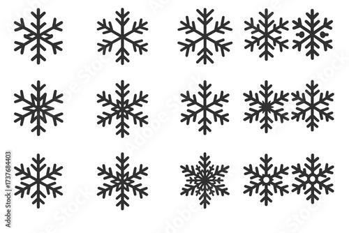 Twelve unique black snowflake designs on white background