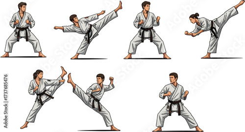 Karate pose, martial arts illustration, black belt technique, fighting stance, traditional gi, combat training, discipline