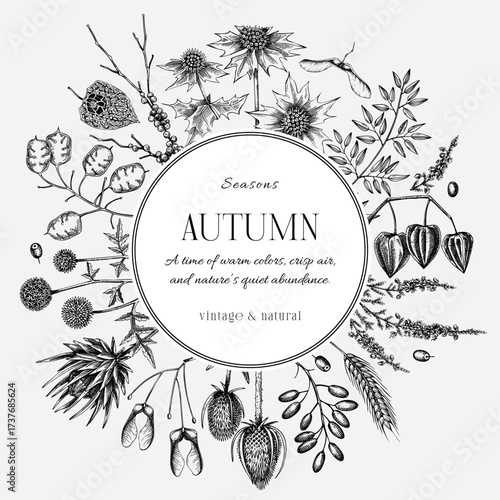 Dried flowers and autumn plants card design. Hand drawn vector illustration. Sketch style fall leaves background. NOT AI generated 