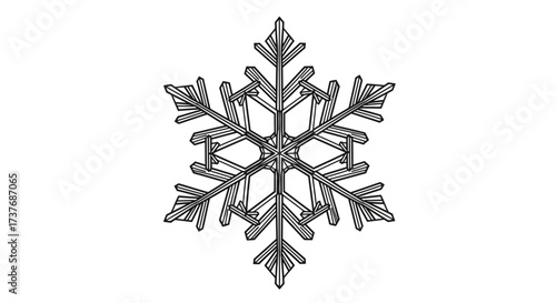 Intricate detailed snowflake crystal illustration on white background.