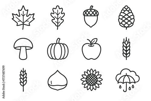 Autumn icons collection: leaves, fruits, and harvest symbols in line art