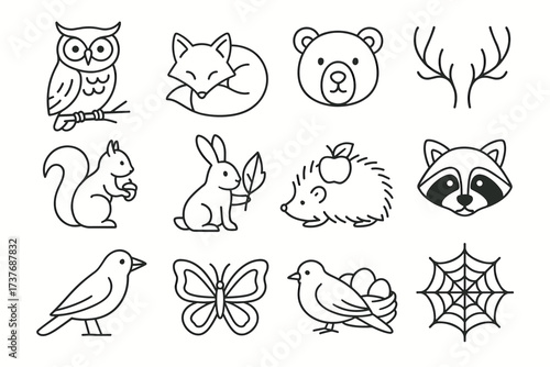 Cute forest animal illustrations: owl, fox, bear, deer, squirrel, rabbit, hedgehog, raccoon
