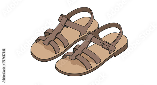 Casual brown sandals with straps and buckles on white background