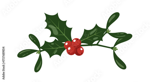 Christmas holly and mistletoe sprig festive winter decoration.