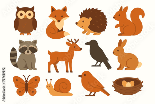 Cute woodland animals illustration with owl, fox, hedgehog, and more