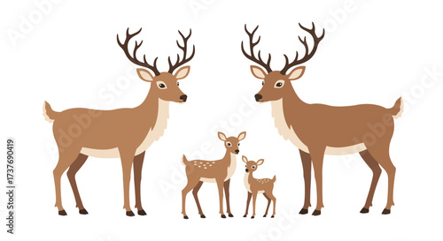 Deer family illustration with adult bucks and fawns.