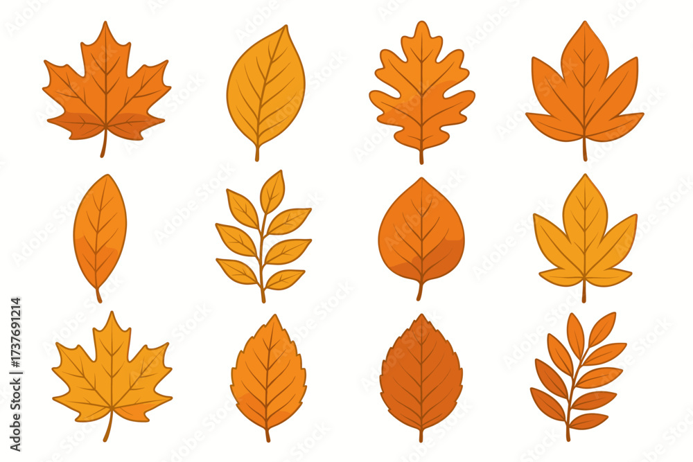 Fototapeta premium Colorful assortment of autumn leaves display in various shapes and shades