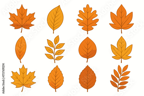Colorful assortment of autumn leaves display in various shapes and shades