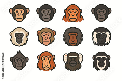 Collection of diverse primate faces illustrated with various expressions