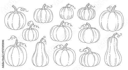 A collection of hand-drawn pumpkin outlines for autumn and harvest decorations.