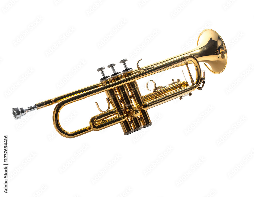 Obraz premium Gleaming golden brass instrument; poised, angled, on black