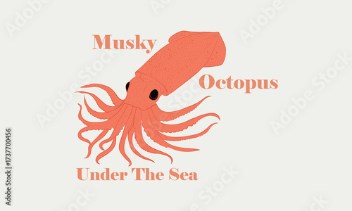 Octopus , seafood. Vintage retro print, seafood Octopus sketch Under the sea Hand drawn sketch Octopus . Vector Illustration drawing for graphic tee t shirt or poster sticker - Vector