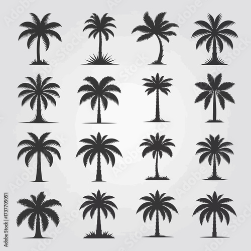 Vector silhouette palm tree illustrations scalable graphic elements for tropical designs and summer themes silhouette