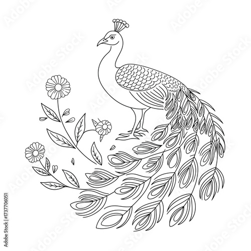 Elegant outline vector illustration of a peacock amidst floral elements scalable graphics for design projects silhouette