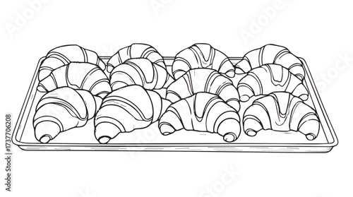 Delicious freshly baked croissants arranged on a baking tray hand drawn sketch style vector