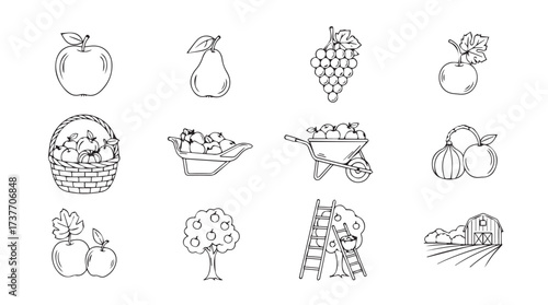 Artistic hand-drawn collection of fresh fruits vegetables and farm harvest elements vector