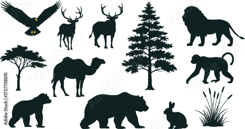 Wildlife, silhouette, animals, forest, nature, eagle, deer, lion, monkey, camel, gorilla, rabbit, bear, tree, grass, jungle, mammal, bird, black, isolated, ecosystem, habitat