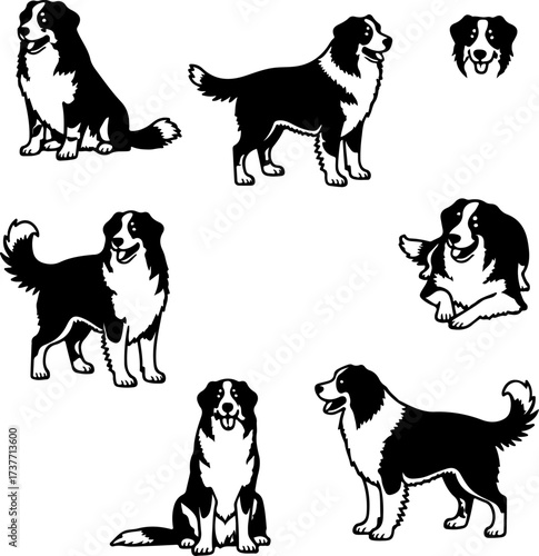 Border Collie Dog Silhouette Vector Set