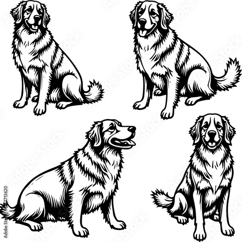 Border Collie Dog Silhouette Vector Set