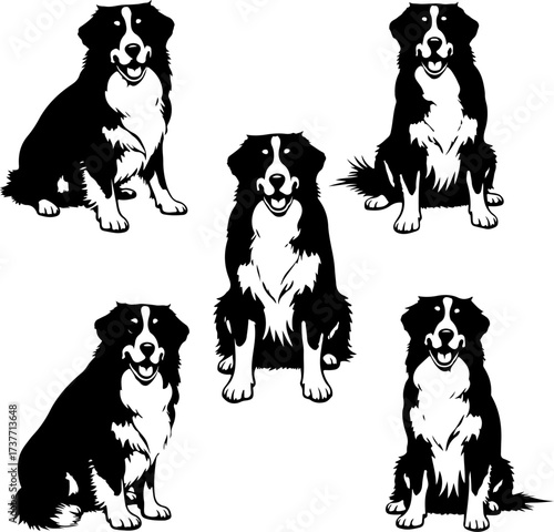 Border Collie Dog Silhouette Vector Set