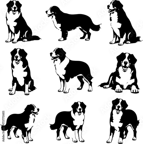 Border Collie Dog Silhouette Vector Set