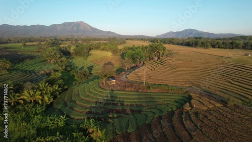 Smooth drone shot over terraced rice fields with a small hut and winding path. Majestic volcano and mountain range rise in the distance under the warm golden sunlight of early morning.