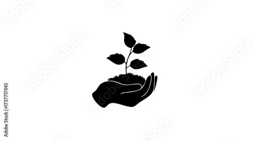 Hand holding a young plant seedling with soil, symbolizing growth, nature care, new life, and environmental protection.