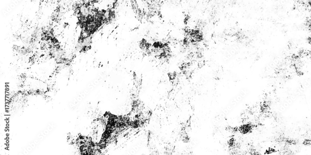 Fototapeta premium Abstract white dust overlay with grain texture for retro grunge designs,scratches grain texture on white and black background,Dark grainy texture on white dust overlay textured.