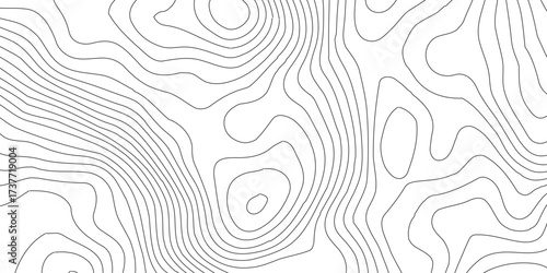 Topographic map background geographic line map with elevation assignments. Abstract digital topographic contour map concept space geometric strip grid line.Topography and geography map grid abstract,