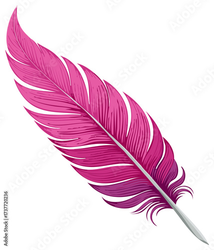 Vibrant Pink Feather Illustration with Detailed Texture and Delicate Barbs, Symbol of Softness and Lightness