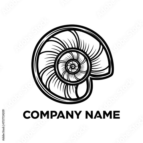 Elegant Nautilus Shell Illustration for Company Branding and Logo Design.