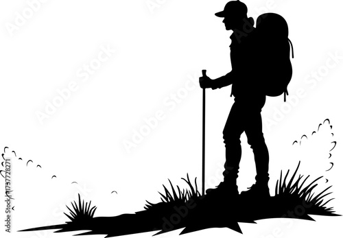Peak Seeker: Solo Trekker in the High Mountains