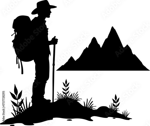 Peak Seeker: Solo Trekker in the High Mountains