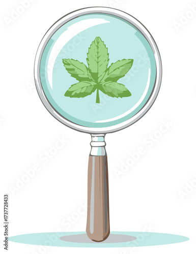 Magnifying glass inspecting a green leaf, illustration
