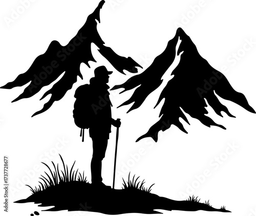 Peak Seeker: Solo Trekker in the High Mountains