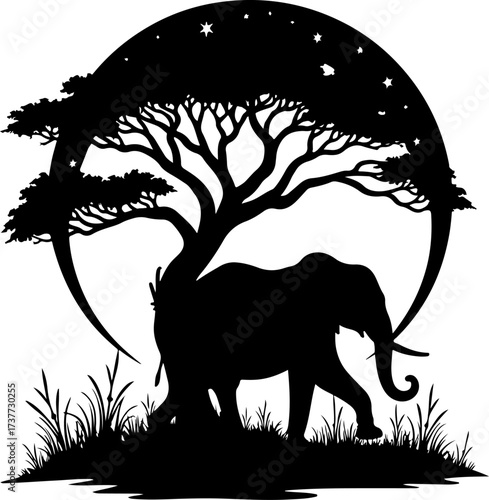 African Night Safari: Elephant under the Acacia