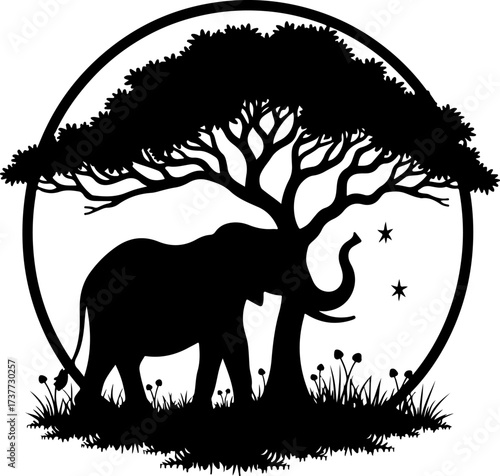 African Night Safari: Elephant under the Acacia
