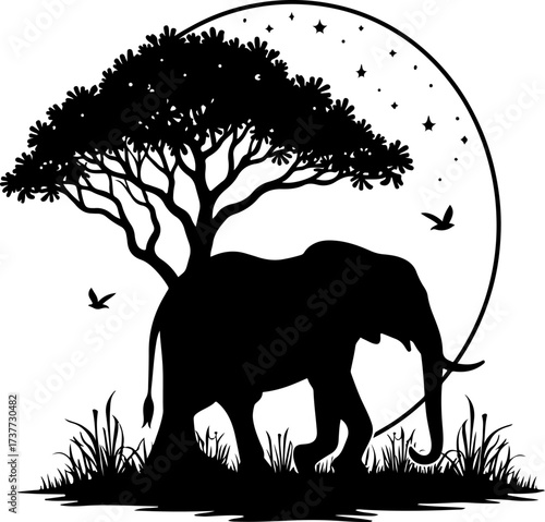 African Night Safari: Elephant under the Acacia