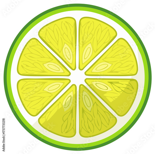 Cartoon Slice of Lime Round Fresh Citrus Fruit Illustration Tropical Food