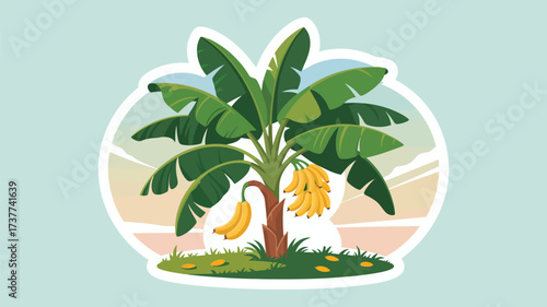 Discover the lush beauty of a banana tree laden with ripe fruit, perfect for tropical themes, healthy eating campaigns, and vibrant designs that evoke a sense of nature's bounty