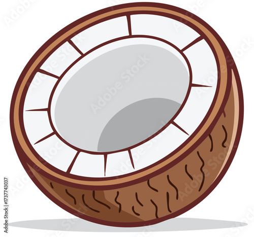 Vector illustration of a halved coconut with brown husk and white flesh.