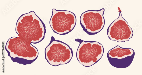 Whole and halved figs set with red pulp and purple skin isolated on light background. Flat vector illustration of fruit slices. Healthy food and organic nutrition concept