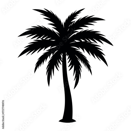 palm tree silhouette vector