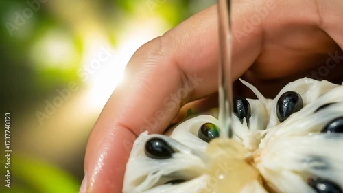 Dynamic Close-up: Hands Gently Wash Freshly Cut Soursop Fruit with Flowing Water in Sunlight
