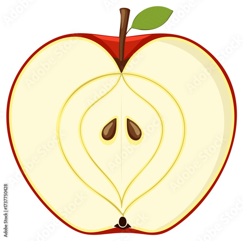 Stylized cross-section of a red apple revealing seeds and core
